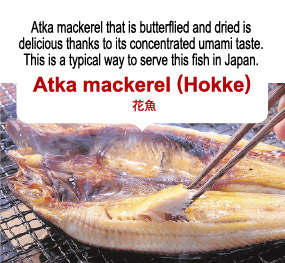 Atka mackerel that is butterflied and dried is delicious thanks to its concentrated umami taste. This is a typical way to serve this fish in Japan. Atka mackerel (Hokke) 花魚