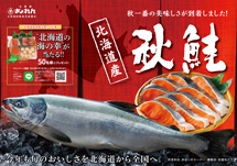 ［2022年］北海道の秋鮭 ～ 秋一番の美味しさが到着しました！