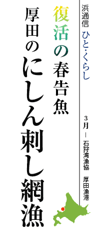 復活の春告魚　厚田のにしん刺し網漁