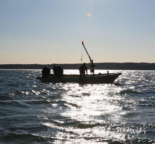 厚岸漁協　湿原産ミネラル豊かな厚岸湖のあさり漁