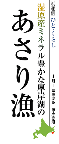 湿原産ミネラル豊かな厚岸湖のあさり漁