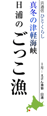 真冬の津軽海峡　日浦のごっこ漁