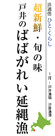 超新鮮・旬の味　戸井のばばがれい延縄漁