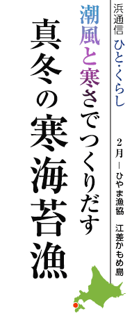 潮風と寒さでつくりだす　真冬の寒海苔漁