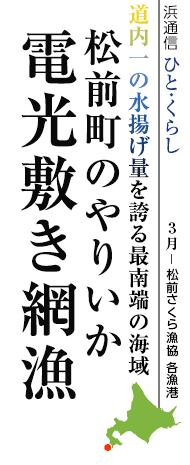 道内一の水揚げ量を誇る最南端の海域　松前町のやりいか　電光敷き網漁