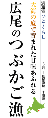 大海の底で育まれた甘味あふれる 広尾のつぶかご漁