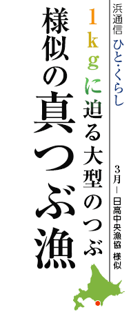 えりも漁協 様似 様似の真つぶ漁