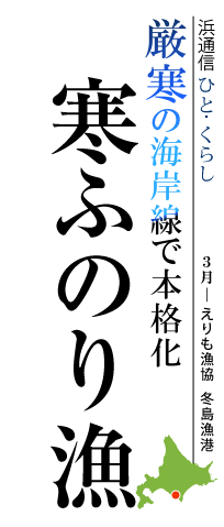 厳寒の海岸線で本格化　寒ふのり漁