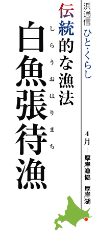 伝統的な漁法 白魚張待漁