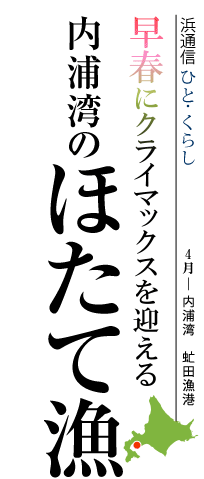 早春にクライマックスを迎える　内浦湾のほたて漁