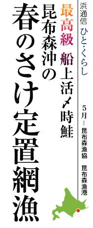 最高級 船上活〆時鮭　昆布森沖の春のさけ定置網漁