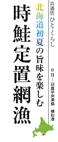 北海道初夏の旨味を楽しむ　時鮭定置網漁