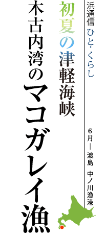初夏の津軽海峡 木古内湾のマコガレイ