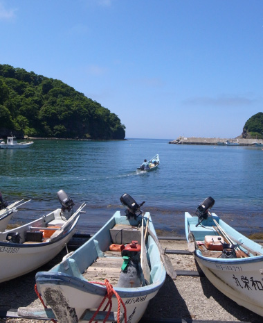 夏場に旬を迎えるうに漁