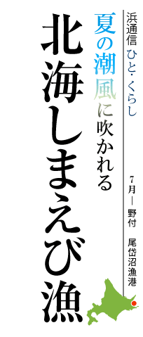 夏の潮風に吹かれる　北海しまえび漁