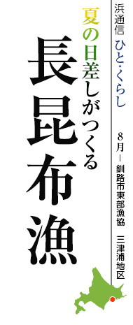 夏の日差しがつくる　長昆布漁