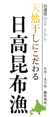 天然干しにこだわる日高昆布漁