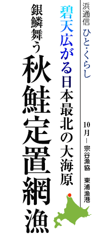 碧天広がる日本最北の大海原　銀鱗舞う　秋鮭定置網漁