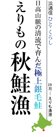 日高山脈の清流で育んだ極上銀毛鮭 えりもの秋鮭漁