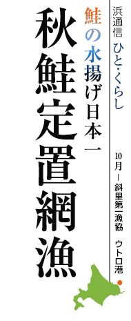 鮭の水揚げ日本一　秋鮭定置網漁