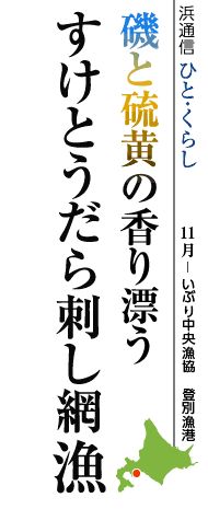 磯と硫黄の香り漂う　すけとうだら刺し網漁