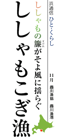 ししゃもの簾がそよ風に揺らぐ　ししゃもこぎ漁