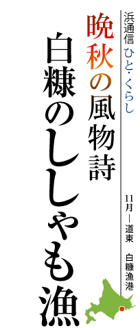 晩秋の風物詩　白糠のししゃも漁