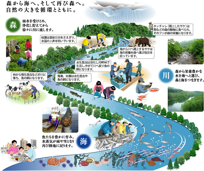 森から海へ、そして再び森へ。自然の大きな循環とともに。