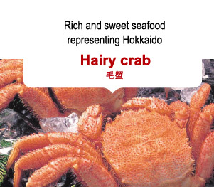Rich and sweet seafood representing Hokkaido Hairy crab 毛蟹