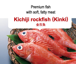 Premium fish with soft, fatty meat Kichiji rockfish (Kinki) 金吉魚