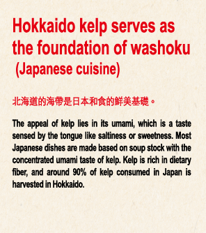 Hokkaido kelp serves as the foundation of washoku(Japanese cuisine), in which Japan takes great pride. 北海道的昆布是日本引以為傲的「和食」的基礎。 The appeal of kelp lies in its umami, which is a taste sensed by the tongue like saltiness or sweetness. Most Japanese dishes are made based on soup stock with the concentrated umami taste of kelp. Kelp is rich in dietary fiber, and around 90% of kelp consumed in Japan is harvested in Hokkaido.