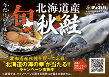 ［2025年］今だけの美味しさ 旬北海道産秋鮭