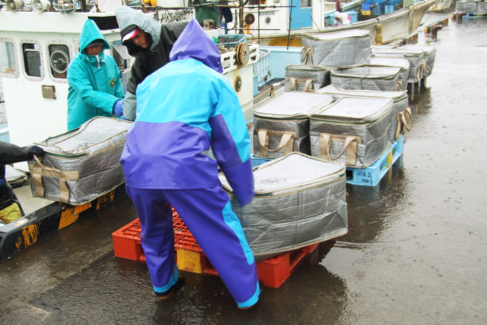 専用の保冷ケースに入れて荷揚げします