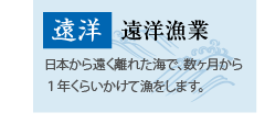 遠洋漁業　日本から遠く離れた海で、数ヶ月から１年くらいかけて漁をします。