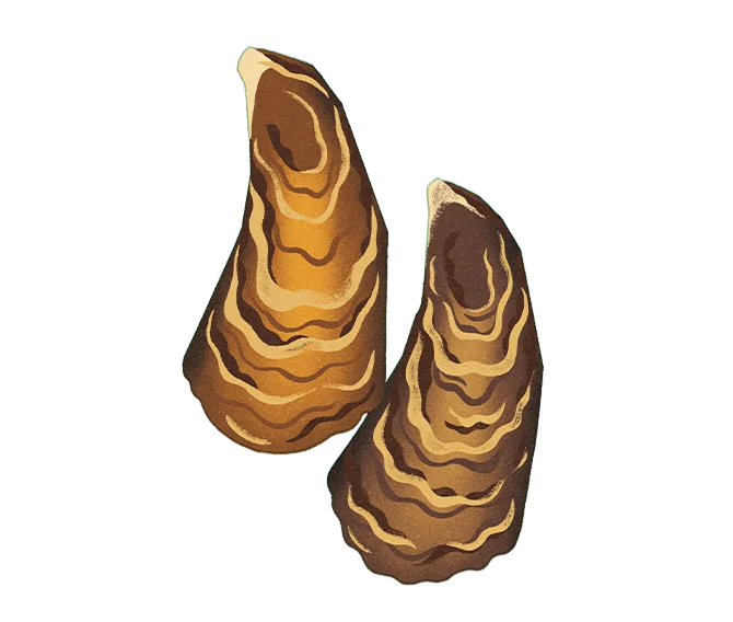 かき