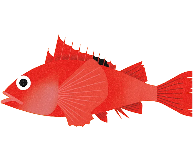 きんき