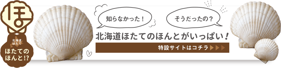 北海道ほたてのほんとがいっぱい！