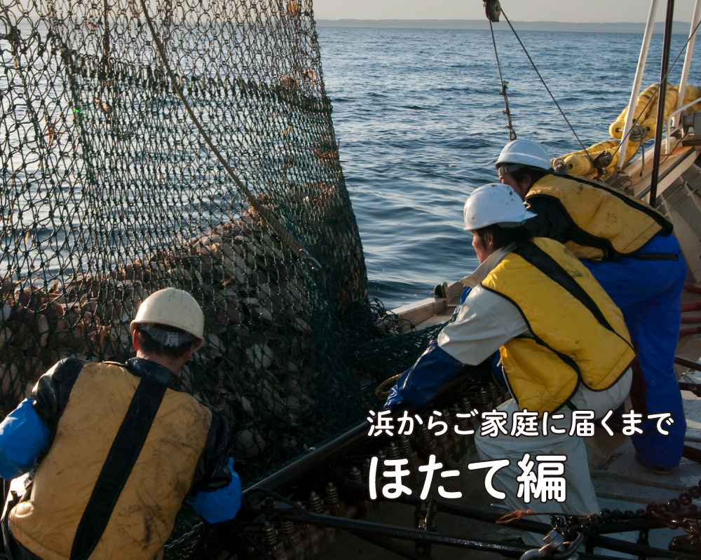 ほたて編「浜からご家族に届くまで」