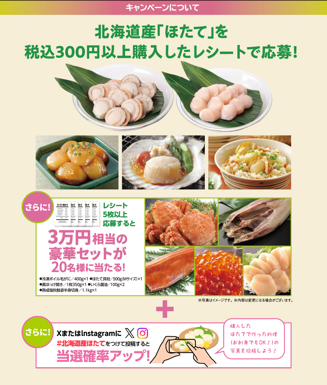 キャンペーンについて