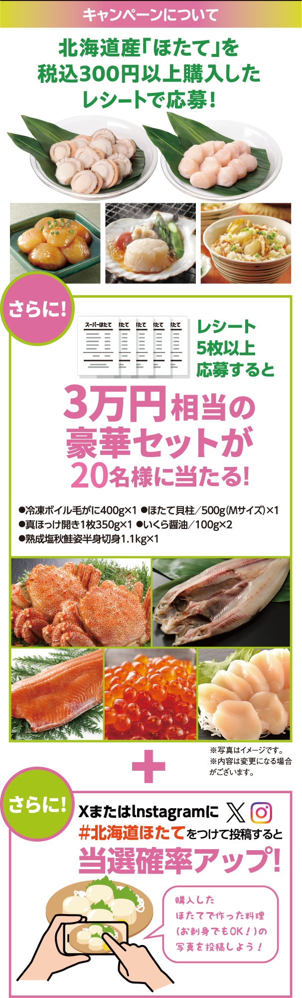 キャンペーンについて