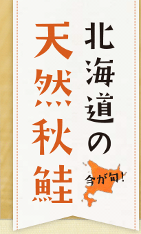 今が旬！北海道の天然秋鮭
