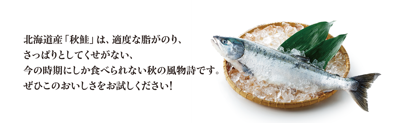 北海道産「秋鮭」ぜひこのおいしさをお試しください!