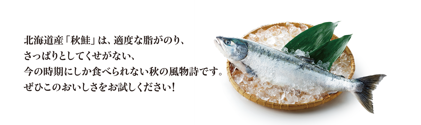 北海道産｢秋鮭｣ぜひこのおいしさをお試しください！
