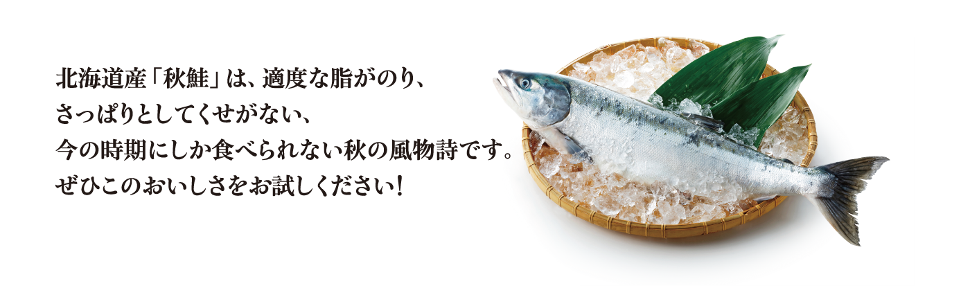 北海道産｢秋鮭｣ぜひこのおいしさをお試しください！
