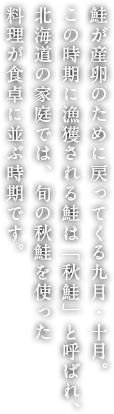 鮭が産卵のために戻ってくる9月・10月。この時期に漁獲される鮭は「秋鮭」と呼ばれ、北海道の家庭では、旬の秋鮭を使った料理が食卓に並ぶ時期です。