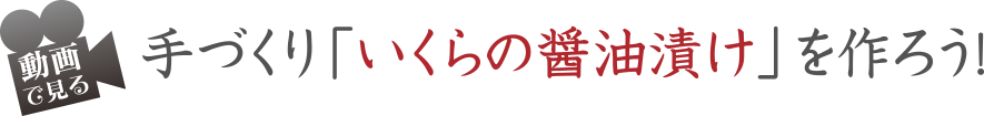 手づくり「いくらの醤油漬け」を作ろう！