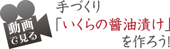 手づくり「いくらの醤油漬け」を作ろう！