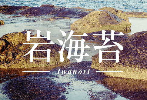 岩海苔