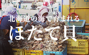 北海道の昆布