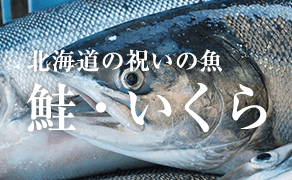 鮭・いくら